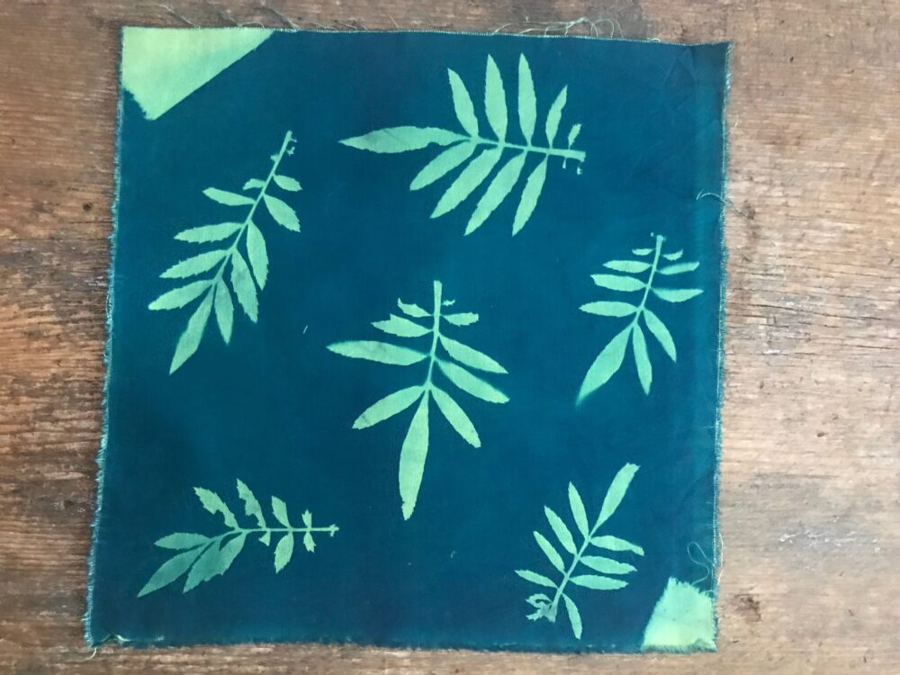 Marigold Leaves – Cyanotype printed cotton fabric squares – Shop Iowa